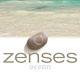 Zenses Ocean